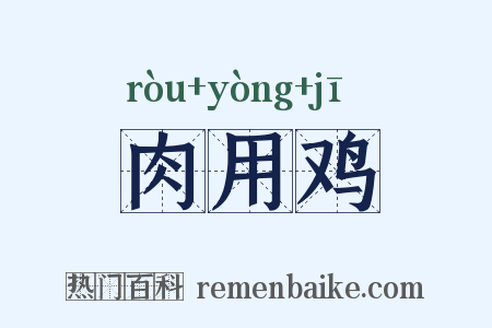 肉用鸡是什么意思的图片